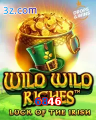 6846 slot wild wild riches